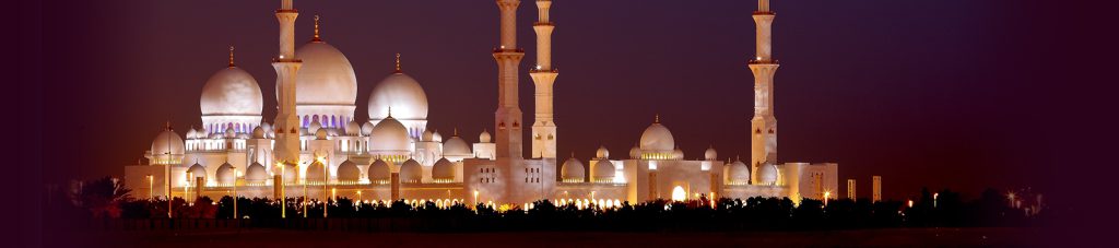 مسجد شیخ زاید دیدنی
